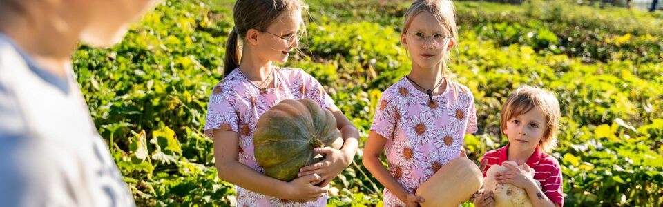 Interessengemeinschaft Lernort Bauernhof – Erlebnishöfe, Erlebnis Bauernhof, Erlebnisbauer, Event, Schule, Schulklasse