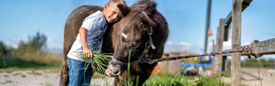 Interessengemeinschaft Lernort Bauernhof – Erlebnishöfe, Erlebnis Bauernhof, Erlebnisbauer, Event, Schule, Schulklasse